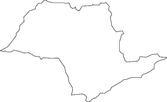 지도 상 파울로의 벡터